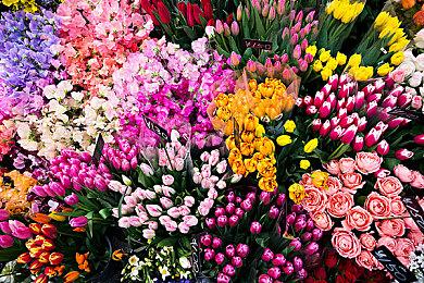 没主机也能玩 DC＆PC新游《DRIVING STRIKERS》预购开启 