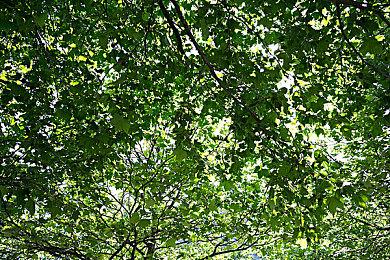 基于虚幻5开发 新赛车游戏《RENNSPORT》公布