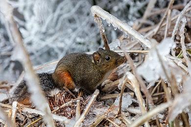 视觉小说《QUALIA 约定的轨迹》上线Steam 2月4日发售