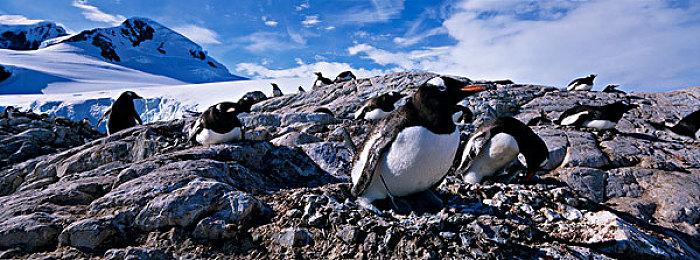 五角大楼官员认为美国95后缺乏锻炼 入伍后更易骨折